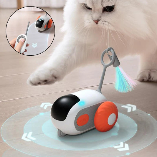 Interactive Cat Car Toy USB Charging